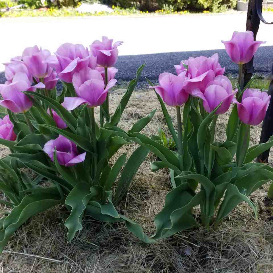 1520 Clauverwie Rd #A - Photo 2 of 20