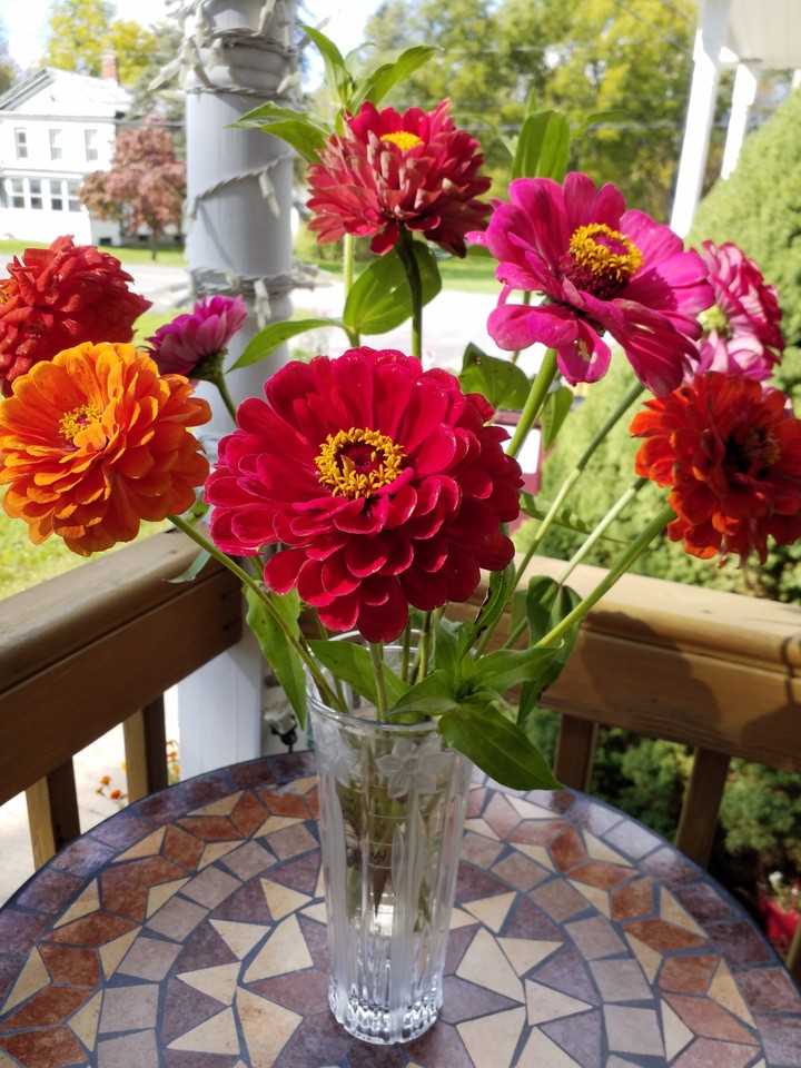 1520 Clauverwie Rd #A - Photo 6 of 20