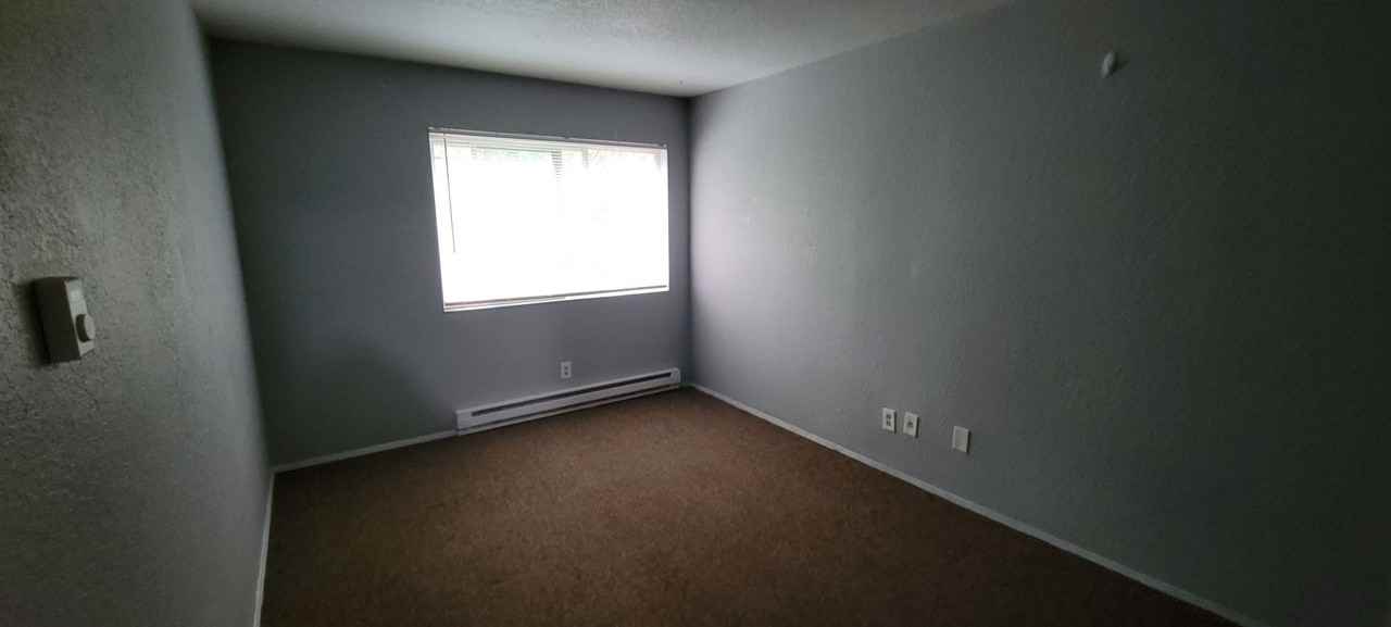 4538 18th Ave NE - Photo 6 of 43