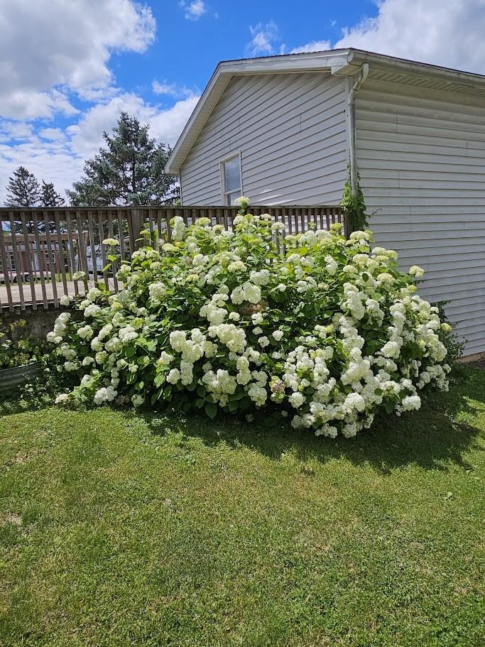 100 Kuhns Ln #1 - Photo 5 of 24