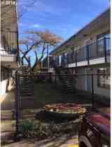 VINE02 - Photo 1 of 1