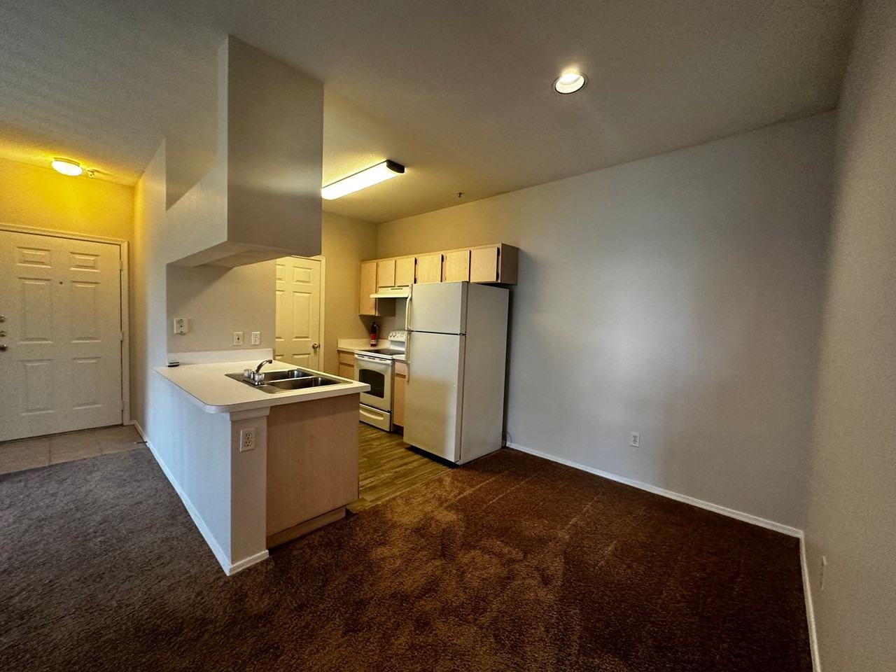 12904 Sanctuary Cove Dr #301 - Photo 3 of 19