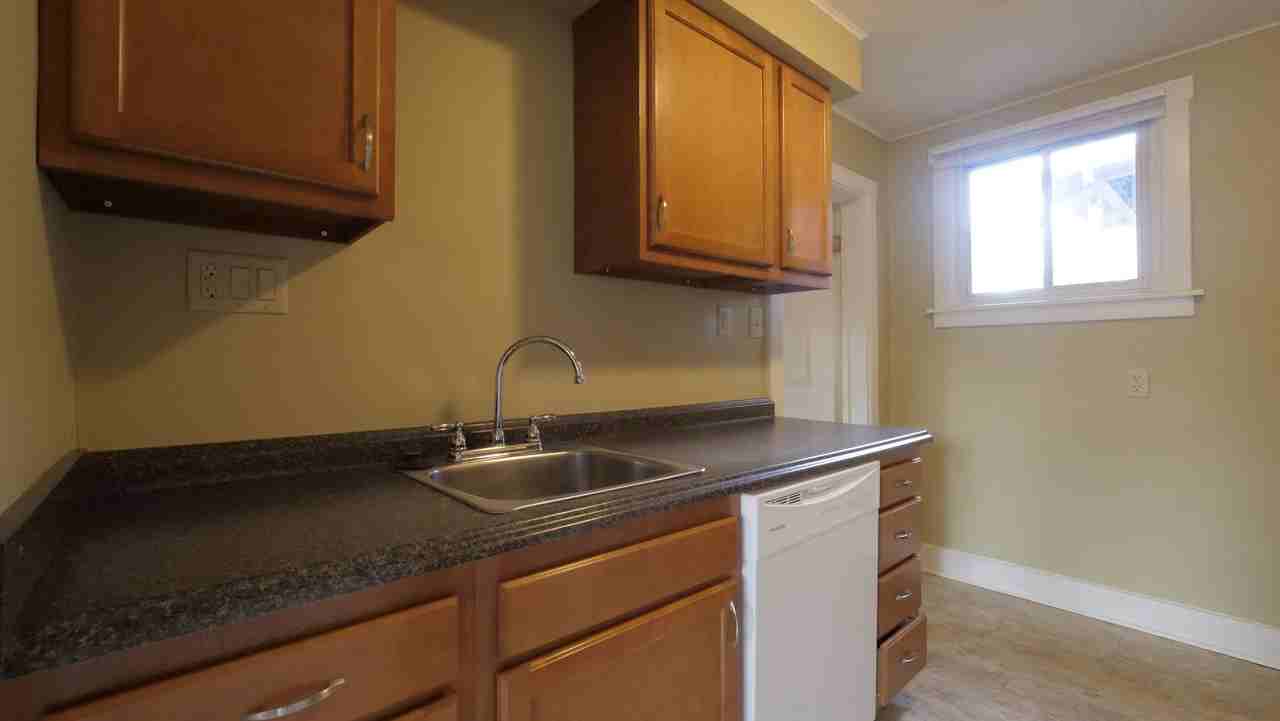 Prince - Photo 3 of 10