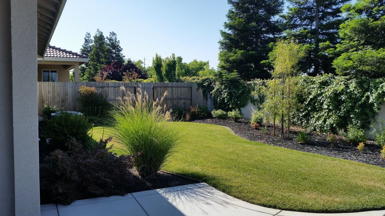 4837 Langley Way - Photo 3 of 13