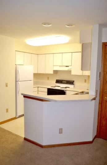 Forest Downs - Photo 5 of 12