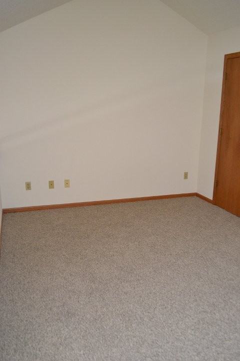 Forest Downs - Photo 7 of 12