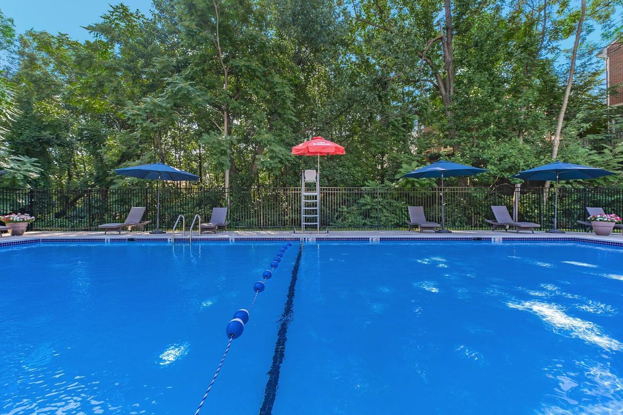 The Oliver in Alexandria - Photo 2 of 50