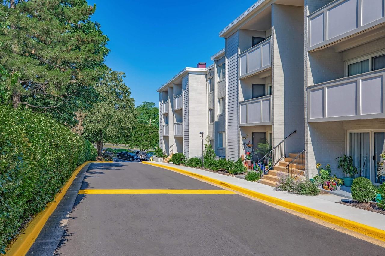 The Oliver in Alexandria - Photo 3 of 50