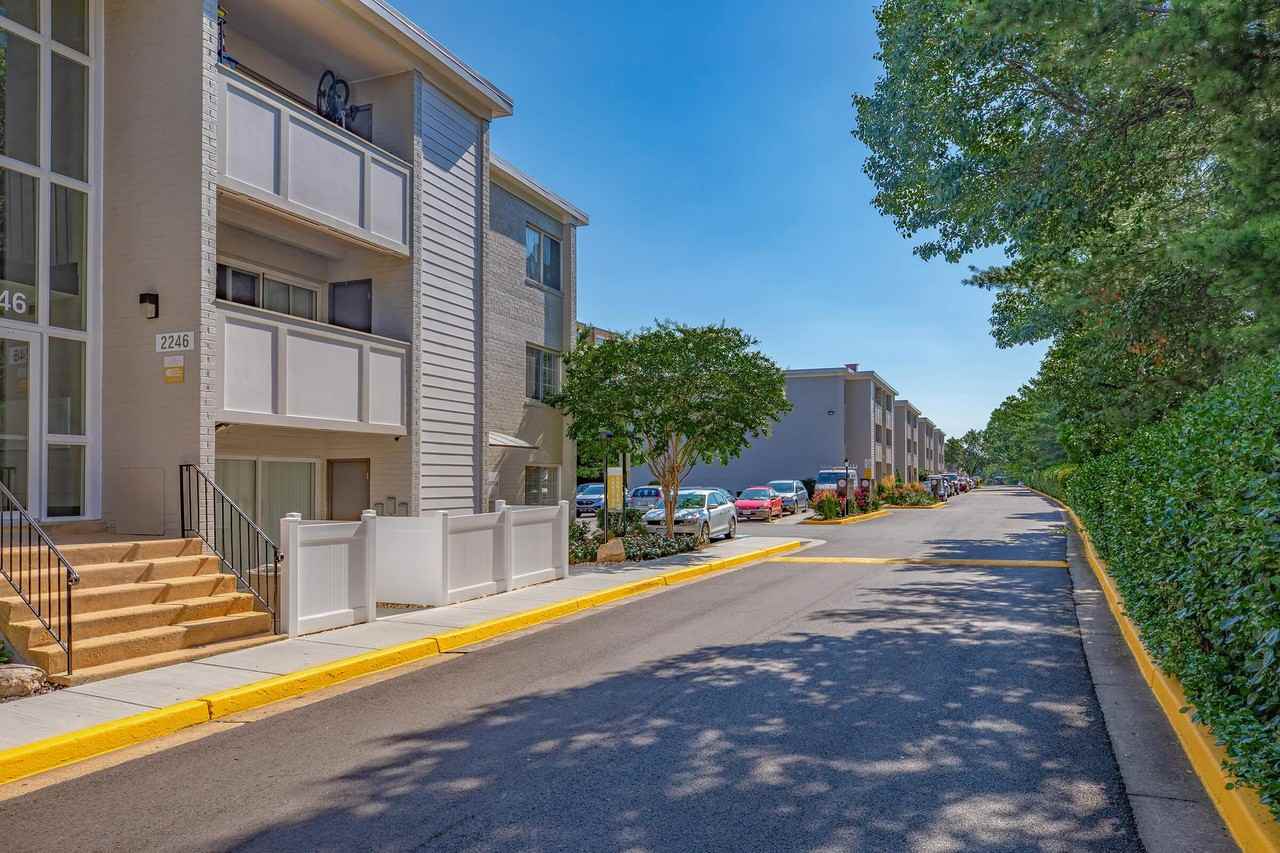 The Oliver in Alexandria - Photo 5 of 50