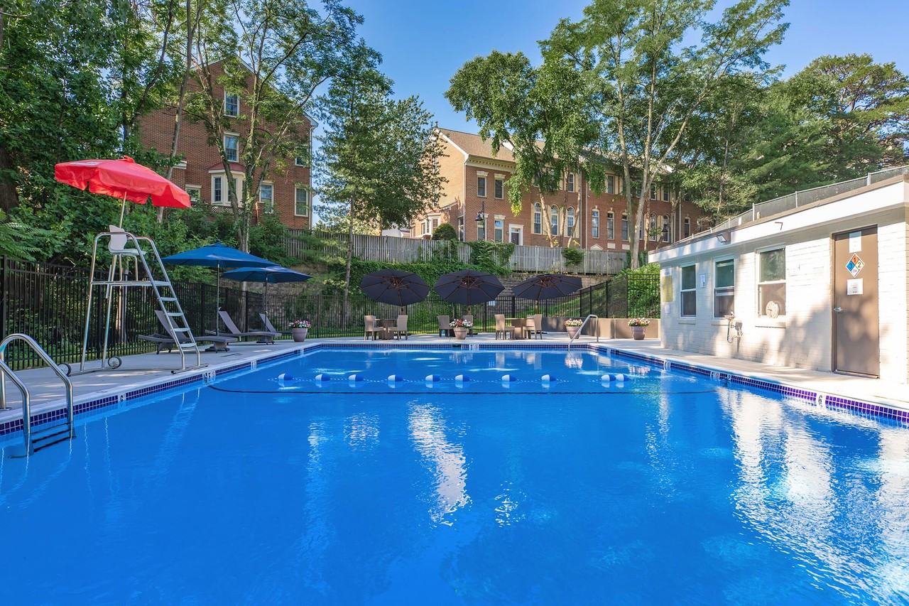 The Oliver in Alexandria - Photo 6 of 50