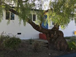 featured image of 292-300