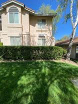 4623 Nicol Cmn #104 - Photo 1 of 1