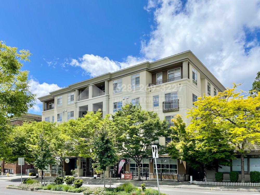 111 108th Ave Ne #207