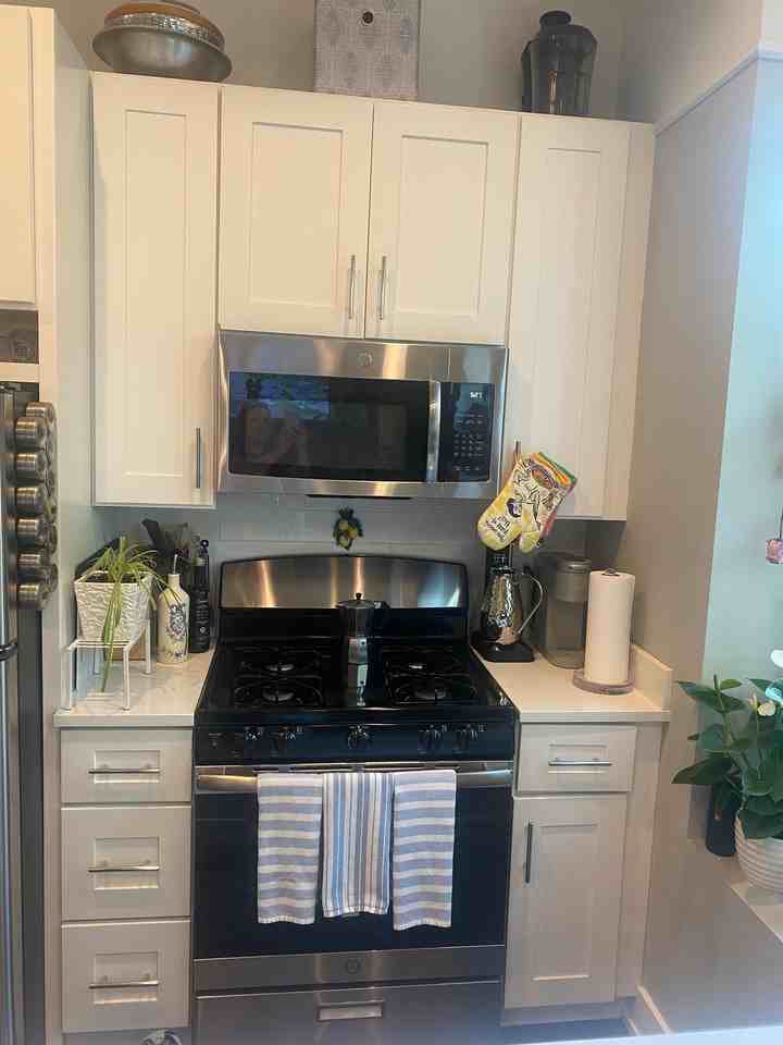 1059 North Damen Avenue - Photo 3 of 27