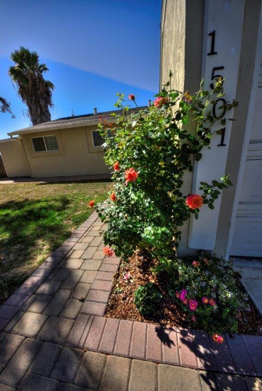 1501 Japaul Ln - Photo 2 of 18