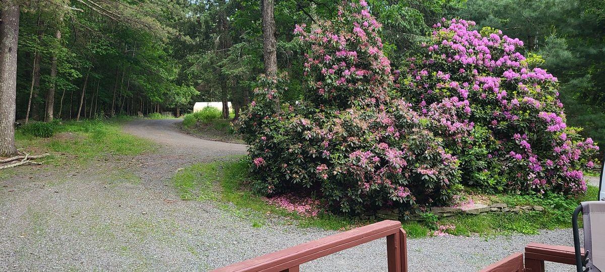 876 Route 434 - Photo 3 of 12