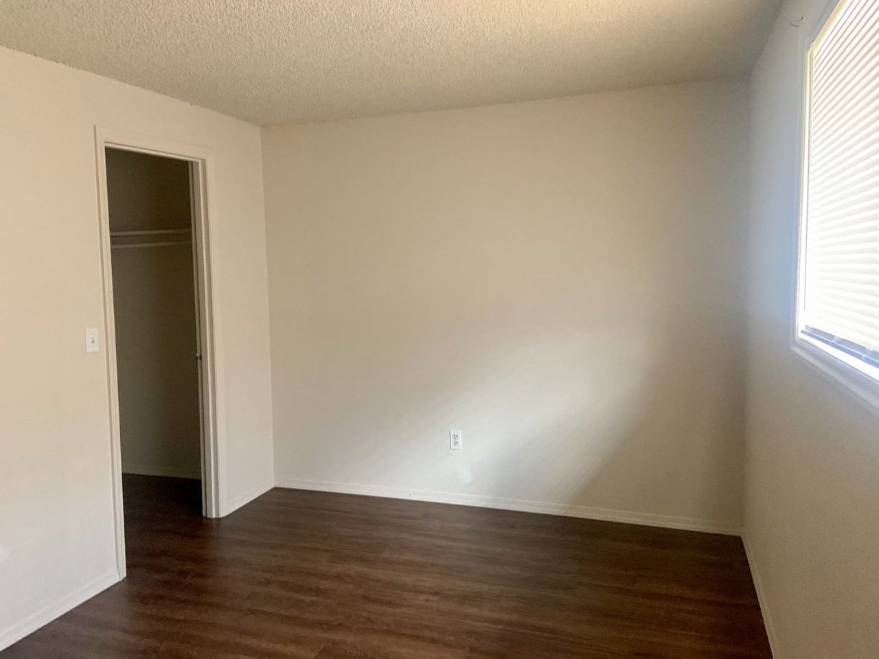 320 Cook St - Photo 3 of 15