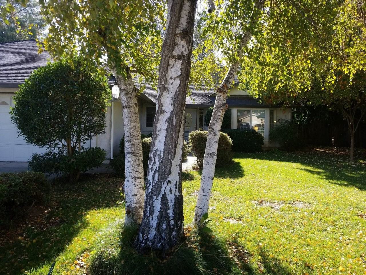 3257 Seedling Dr - Photo 2 of 19