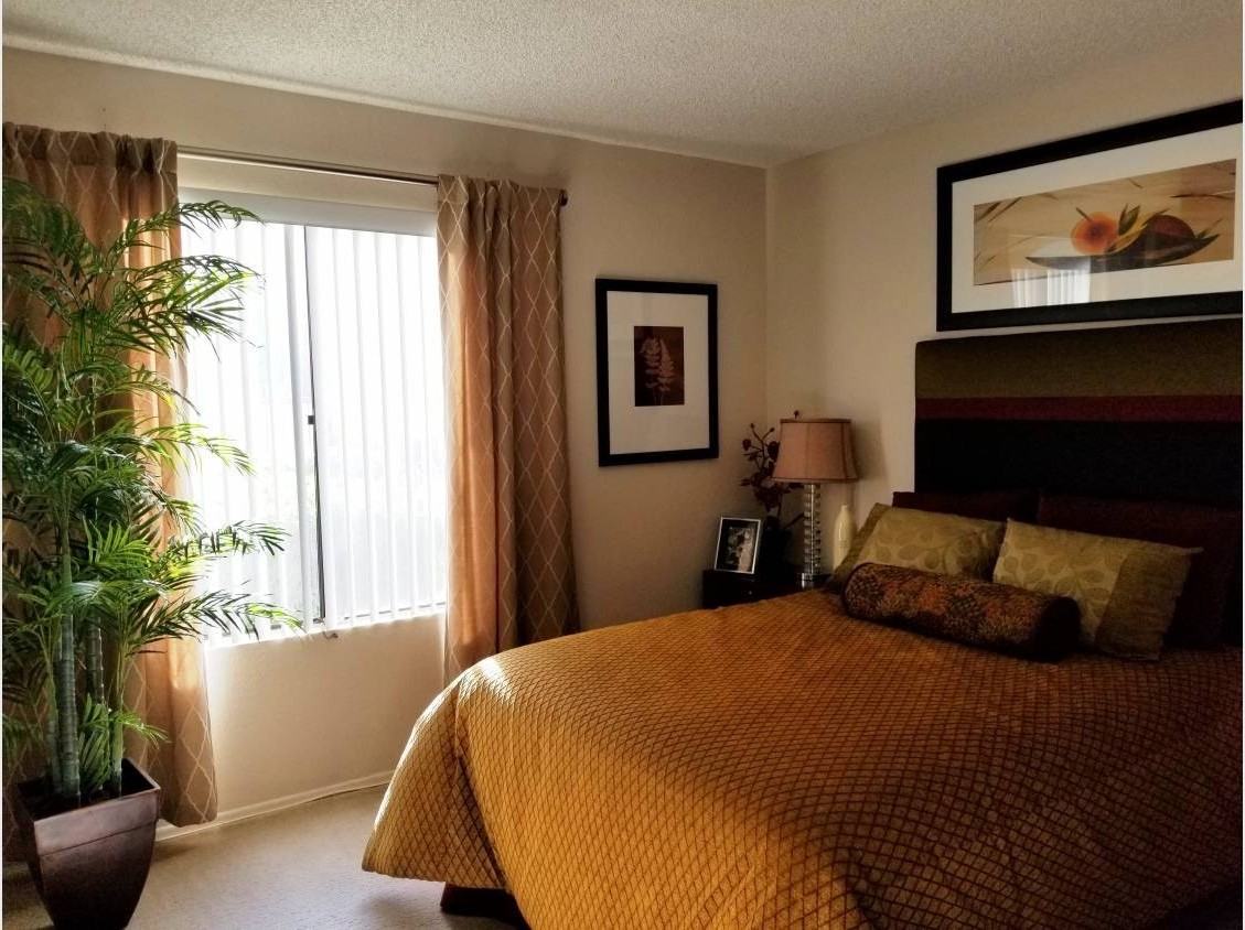 Lucera Apartments Homes - Photo 3 of 18