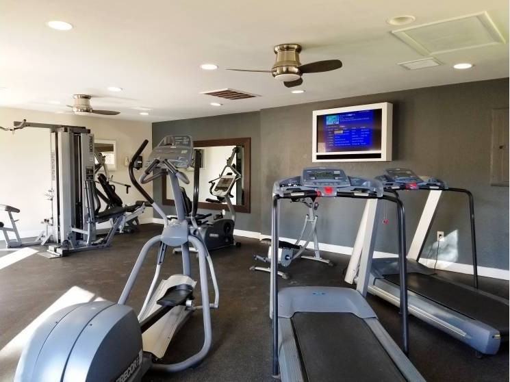 Lucera Apartments Homes - Photo 5 of 18