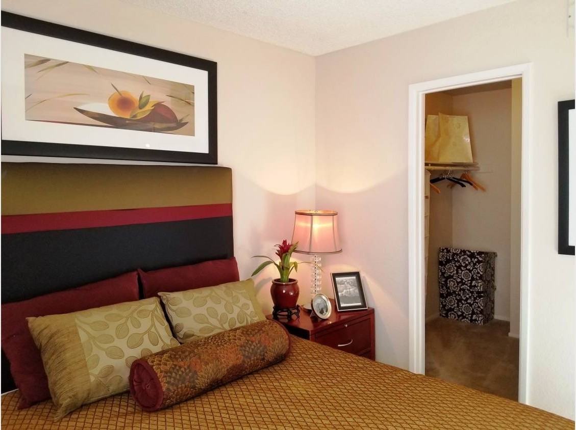 Lucera Apartments Homes - Photo 7 of 18