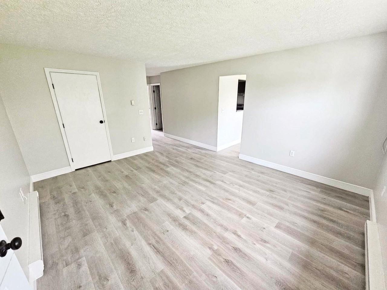 Modern Elegance: Newly Remodeled 2BR/1BA Apartments with Luxury Finishes - Photo 5 of 15