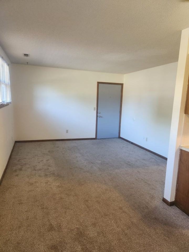 308 S. Mulberry St - Photo 3 of 8