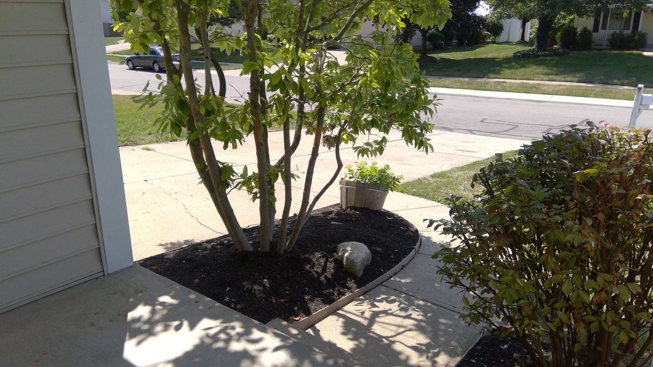 6518 Burkwood Dr - Photo 3 of 17