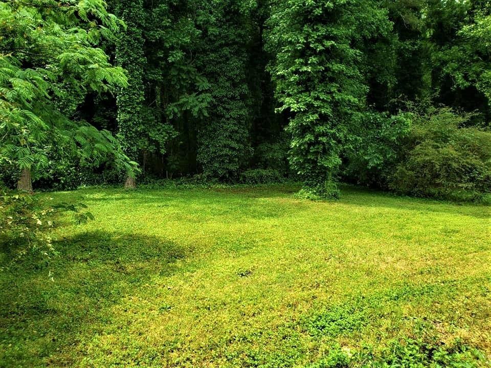 825 Haven St Se - Photo 2 of 18