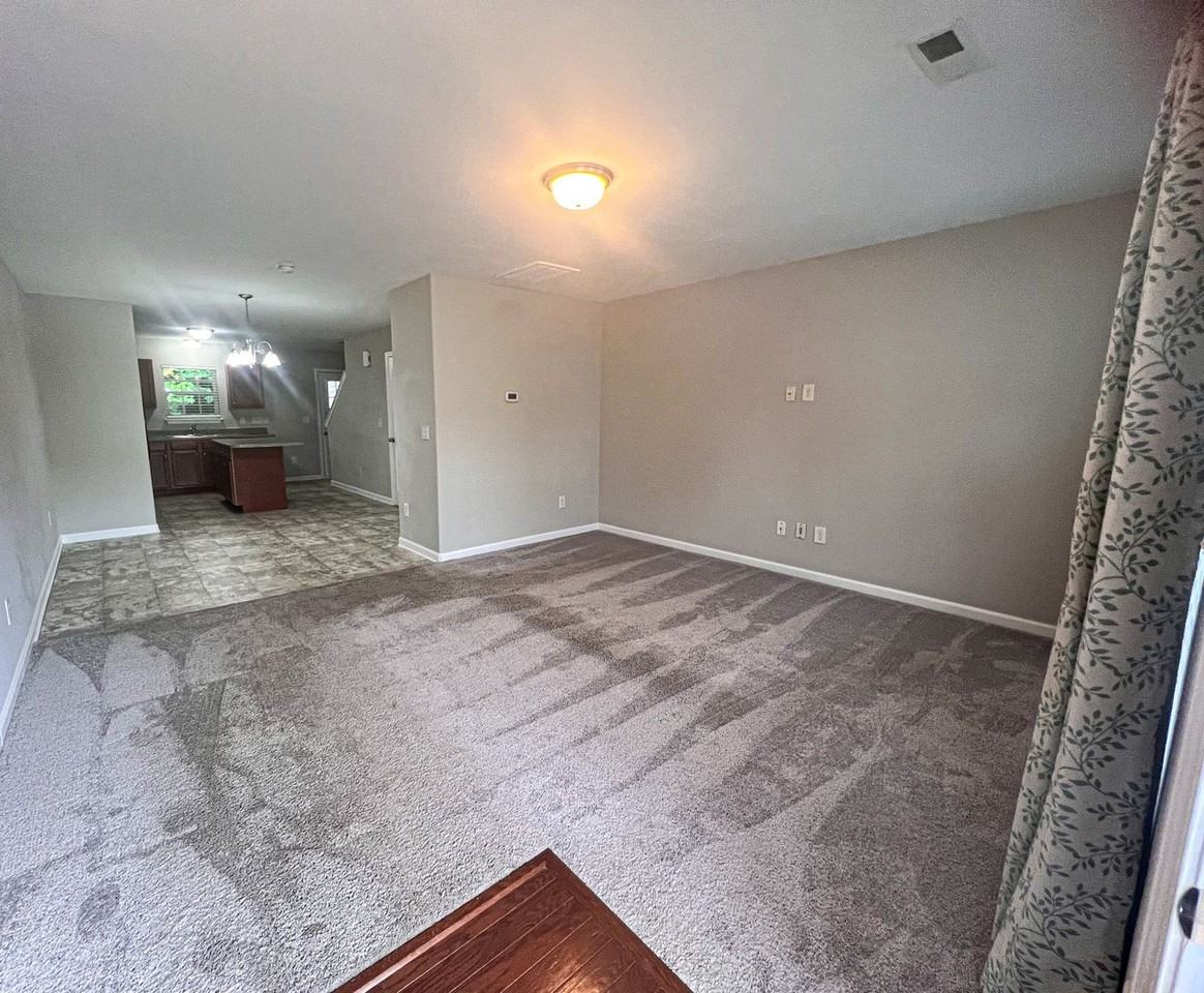 125 Swan Haven Ln - Photo 4 of 36