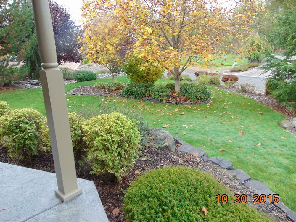 333 Penny Ln - Photo 3 of 16