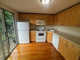 1449 Ocean St #18 - Photo 7 of 13