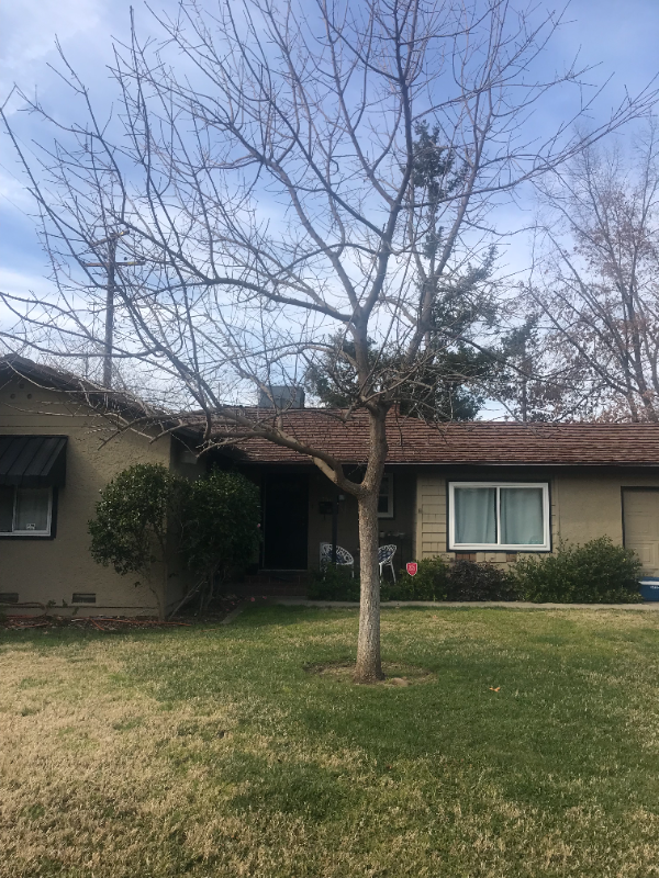 1505 Wyant Way - Photo 2 of 2