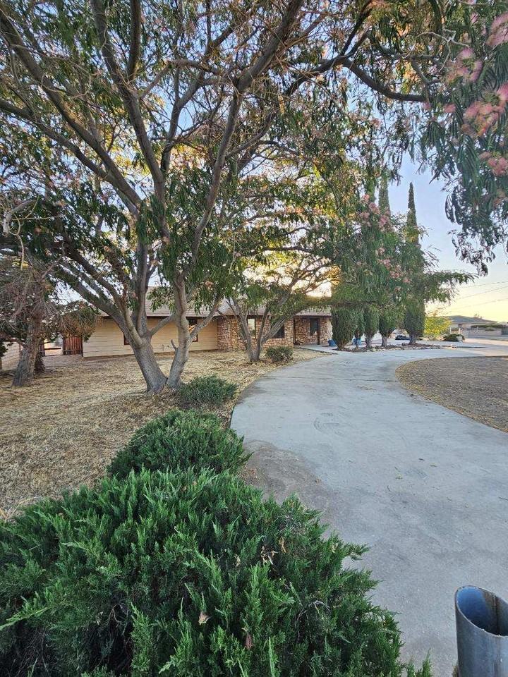 7742 Oxford Ave #1 - Photo 3 of 30