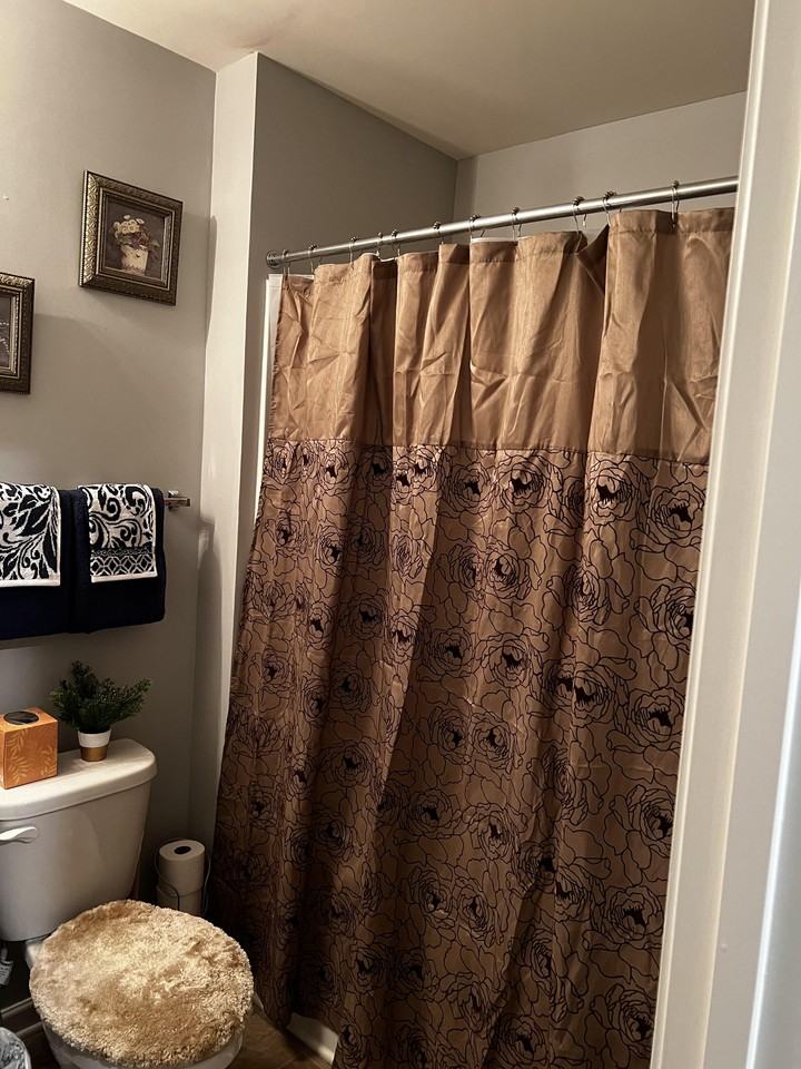 Olmadison Vw - Photo 5 of 27