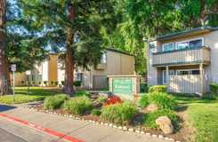 Redwoods at Mather Station - Photo 1 of 1