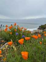 featured image of 657 24th Ave