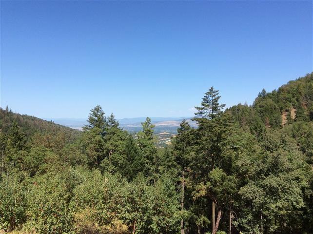 6693 Griffin Ln - Photo 2 of 11