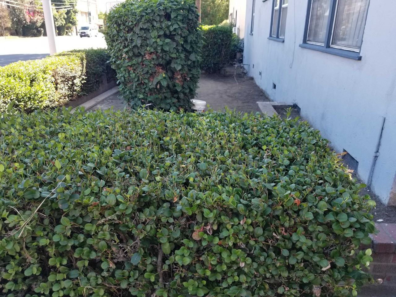 Woodman Ave - Photo 6 of 18