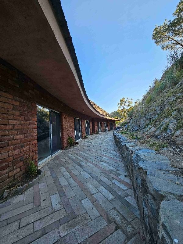 14740 Willow Rd - Photo 3 of 24