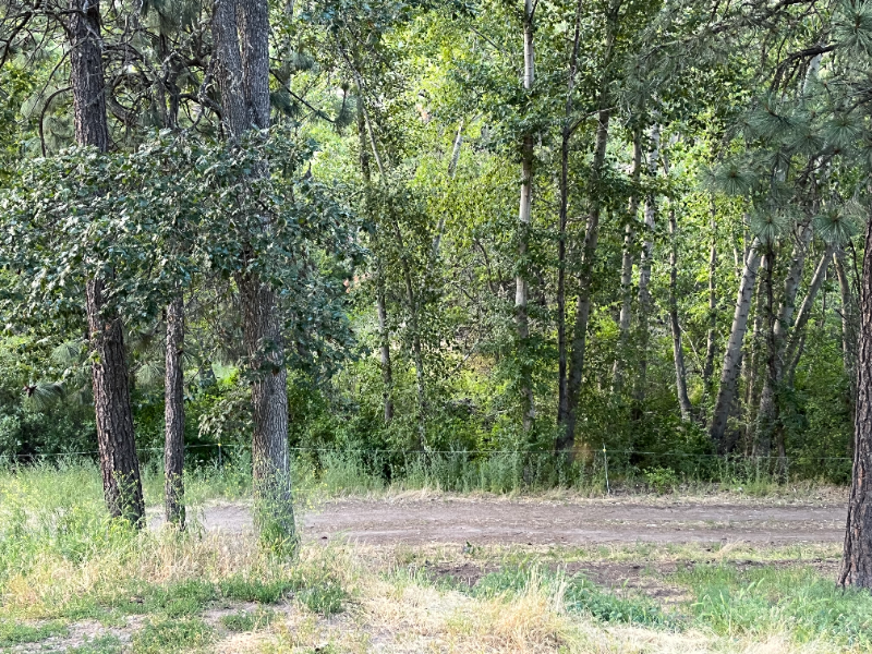 5110 Upper Five Mile Rd - Photo 2 of 18