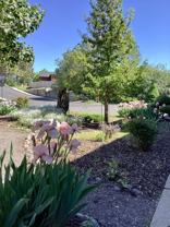 2462 Hawkins St - Photo 1 of 1