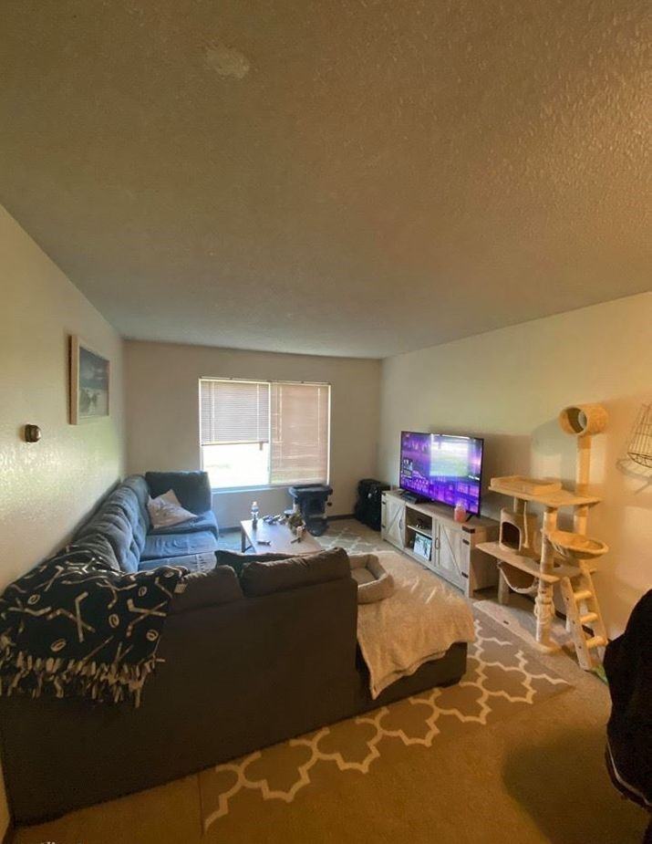 202 Bunting Lane #202 - Photo 2 of 8