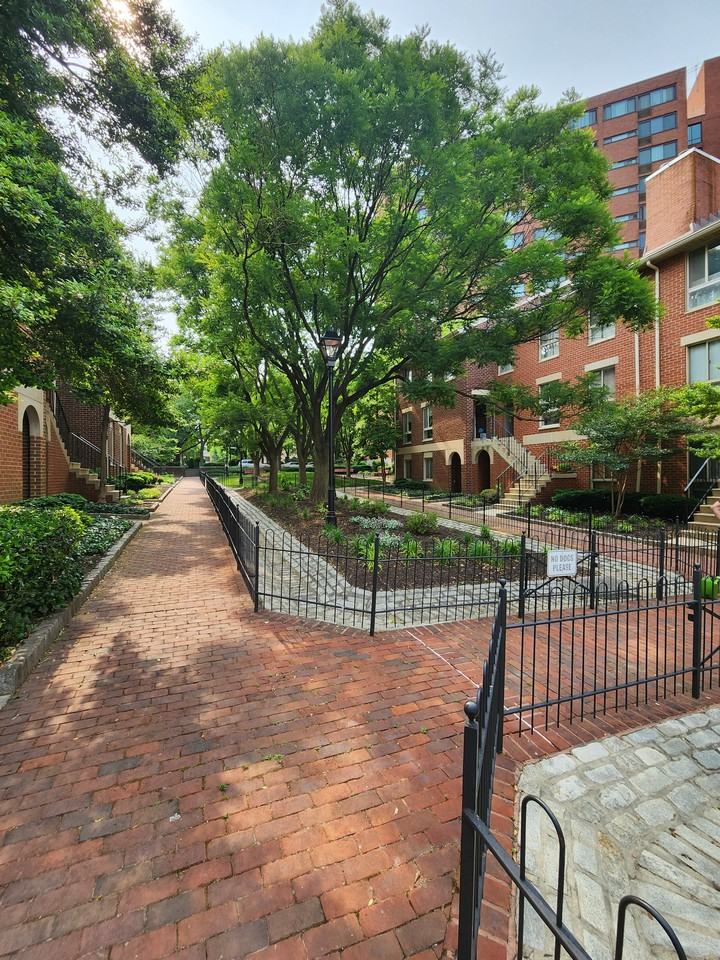 8 Andrew Pl #8 - Photo 6 of 18