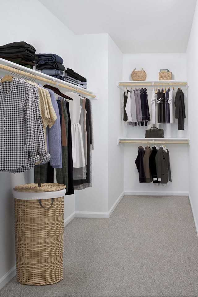 Camden Ballantyne - Photo 6 of 46