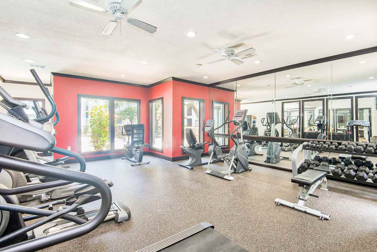 Derby at Steeplechase - Photo 6 of 47