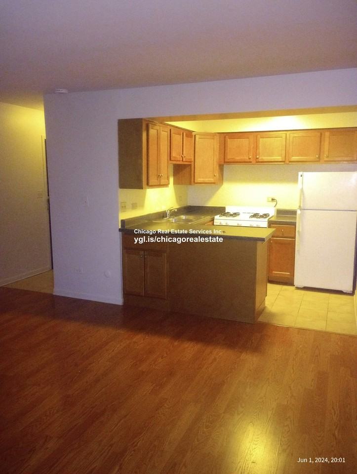 722 West Diversey Parkway, Unit 201 - Photo 4 of 6