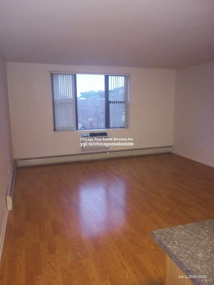 722 West Diversey Parkway, Unit 201 - Photo 6 of 6