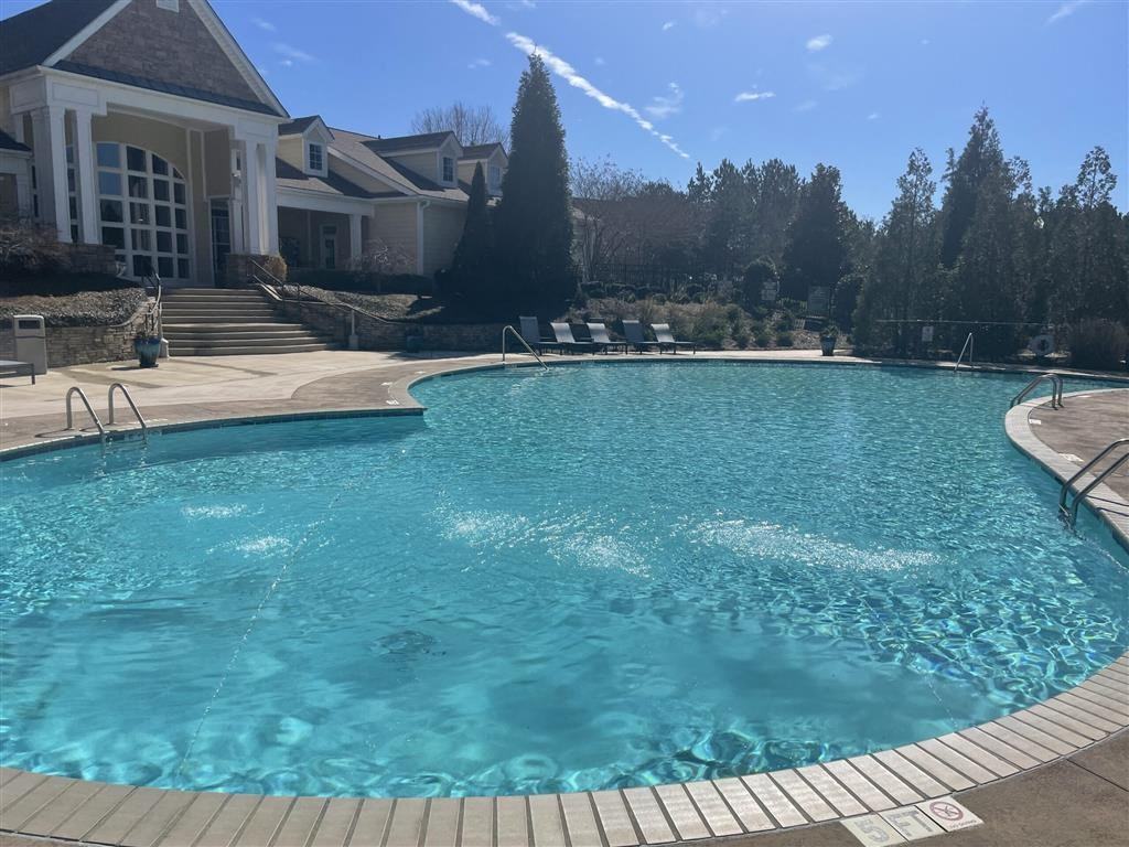 Lullwater at Saluda Pointe - Photo 3 of 29