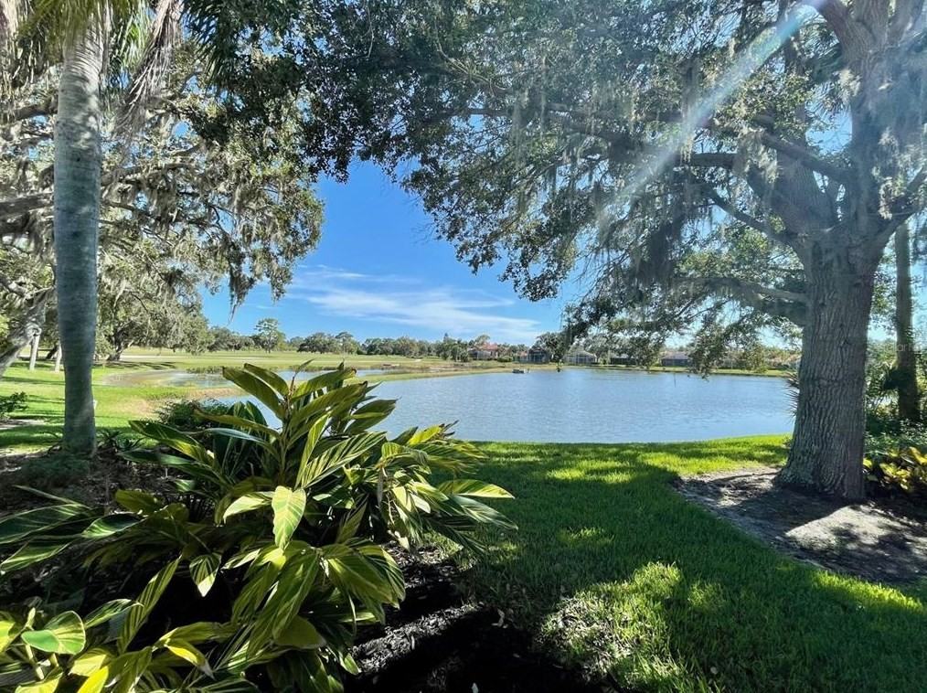 4304 Camino Madera #NA - Photo 2 of 22